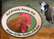 Polderside Farms Ltd.